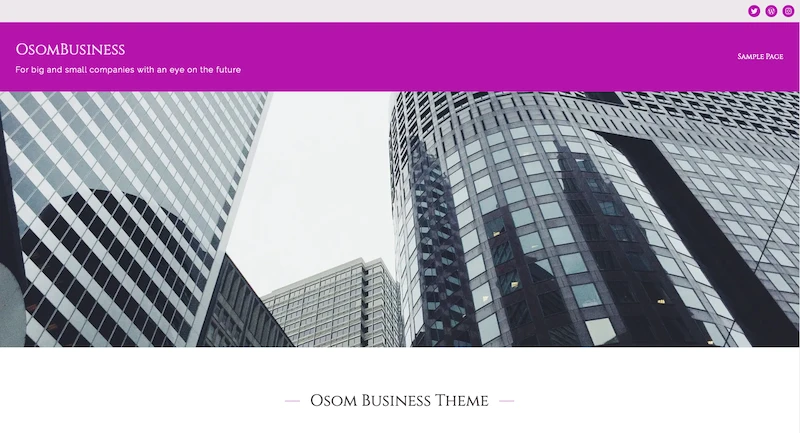 Osom Business Home Custom Color Palette